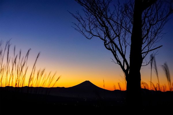 富士見高原リゾート