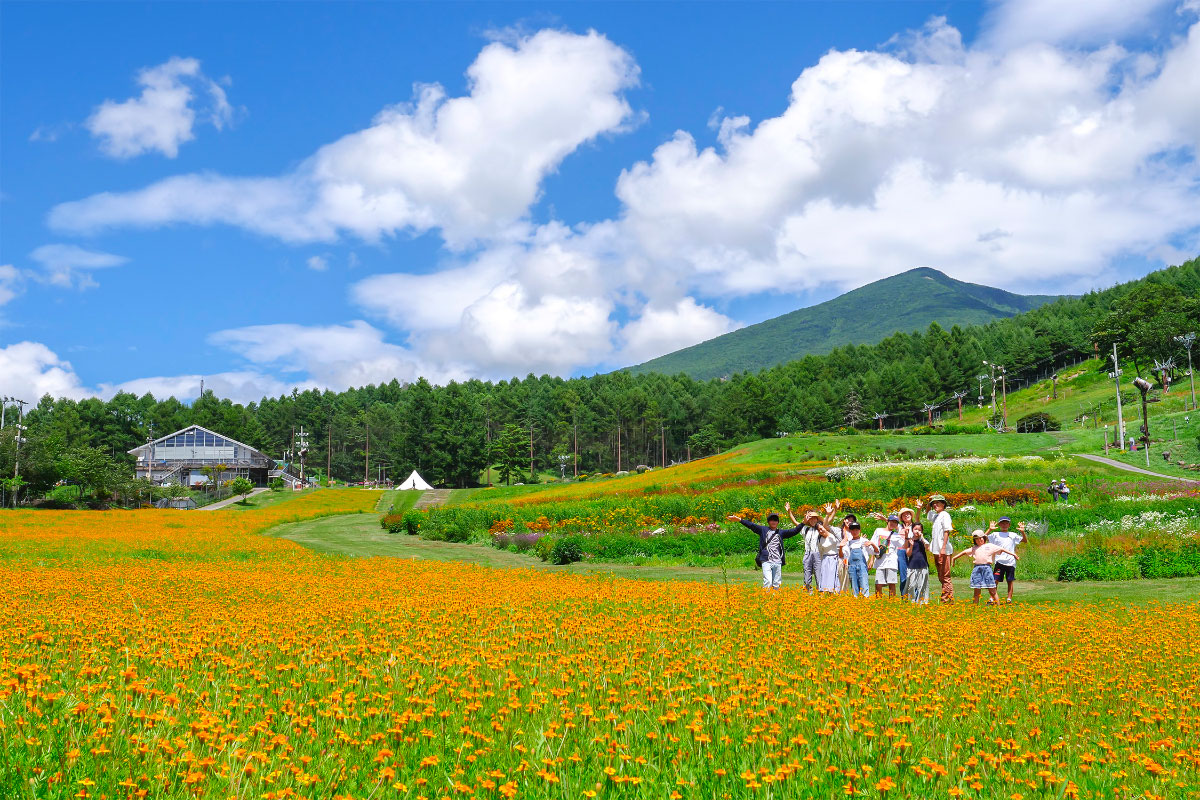 富士見高原リゾート花の里